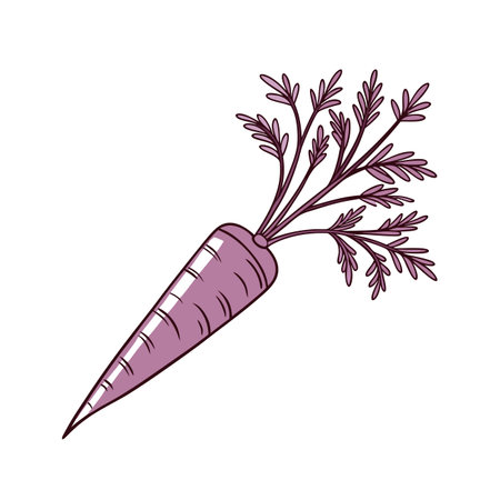 fresh carrot vegetable isolated icon vector illustration designicon vector illustration graphic designのイラスト素材