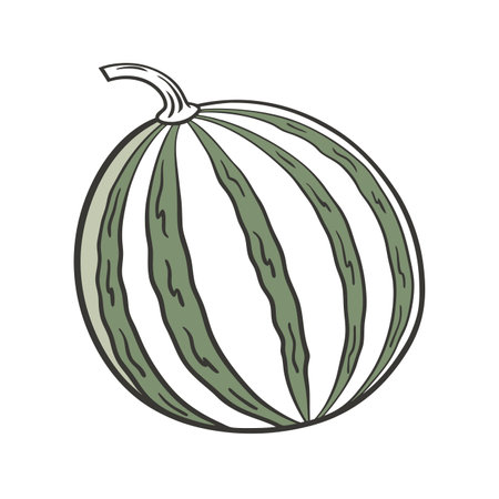 Watermelon icon isolated on white background. Hand drawn vector illustration.のイラスト素材
