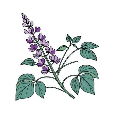 Lupine flower icon vector illustration graphic design vector illustration graphic designのイラスト素材