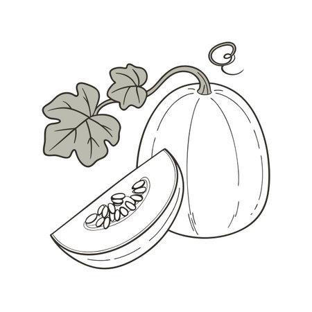 pumpkin with leaves. hand drawn vector illustration on white backgroundのイラスト素材