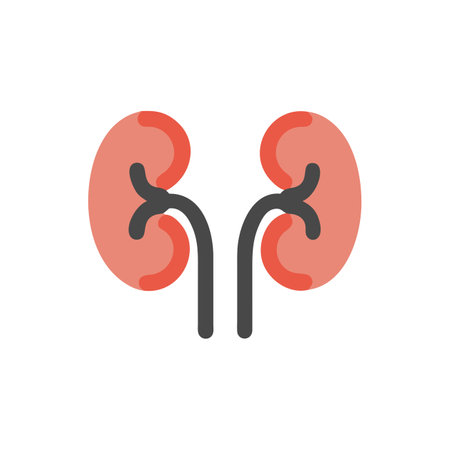 Kidney icon in flat color style. Human organs kidney medical careのイラスト素材