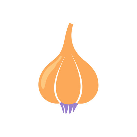 Delicious Garlic Icon for Flavor Enhancementsのイラスト素材