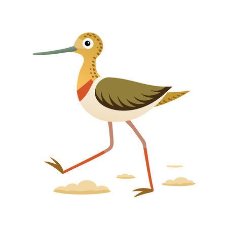 Sandpiper isolated on white background. Vector illustration in flat style.