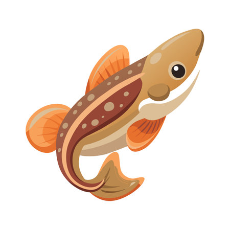 Illustrate a Clingfish with Flattened Bodyのイラスト素材