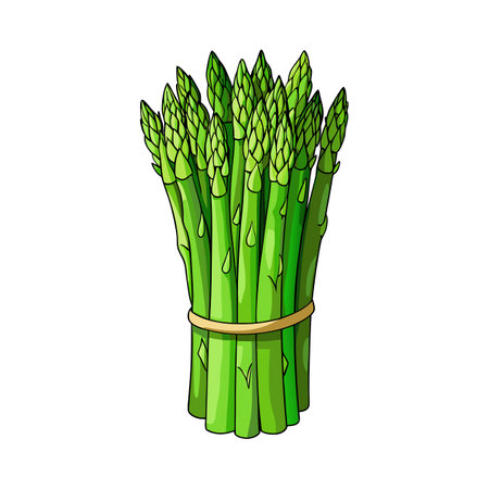 Bundle of Sharp Tip Asparagus Spearsのイラスト素材