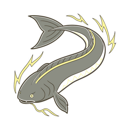 Fish on a white background. Vector illustration of a catfish.のイラスト素材