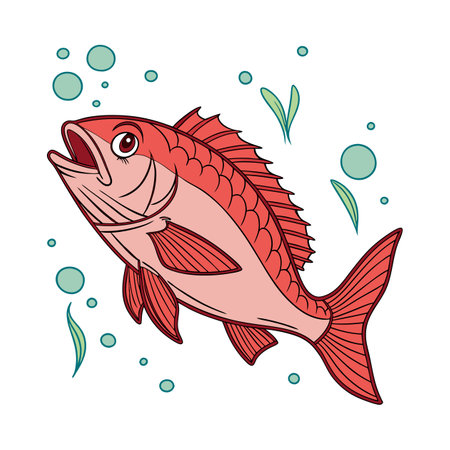 Illustration of a red fish on a white background. Vector illustrationのイラスト素材