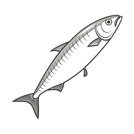 sardine fish icon over white background. seafood concept. vector illustrationのイラスト素材