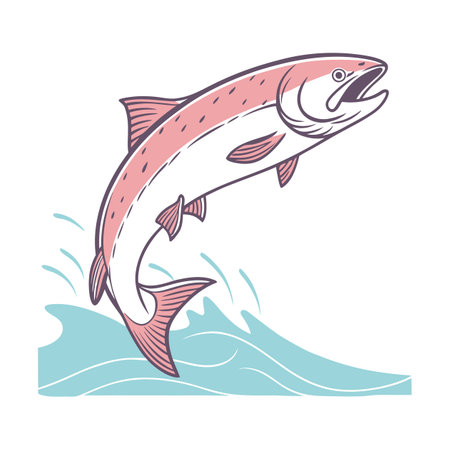 Illustration of a salmon jumping out of the water. Vector illustration.のイラスト素材