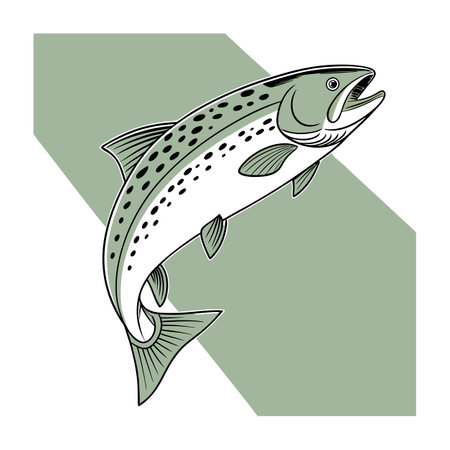 Illustration of a trout on a green background. Vector illustration.のイラスト素材