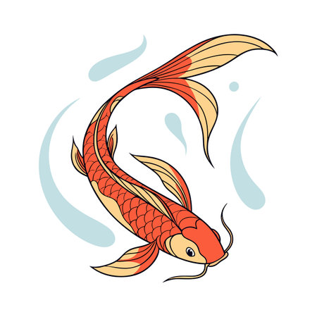Koi fish. Vector illustration, isolated on a white background.のイラスト素材