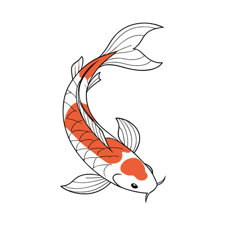 Koi fish. Hand drawn vector illustration isolated on white background.のイラスト素材