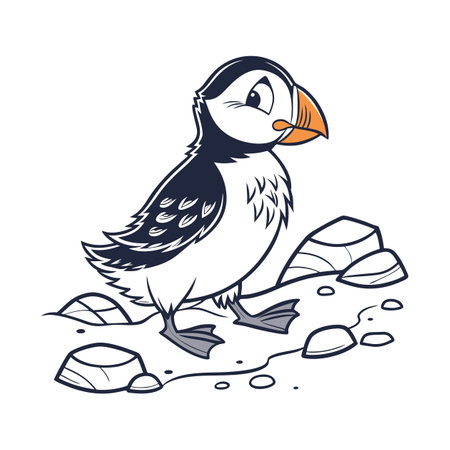 Puffin, vector illustration, isolated on a white background.のイラスト素材