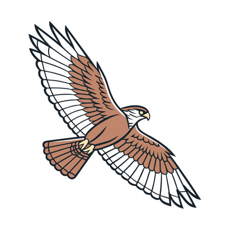 Eagle icon. Vector illustration of a bird of prey. Bird of prey.のイラスト素材