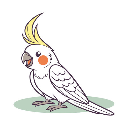 Cockatoo parrot on white background. Vector illustration.のイラスト素材