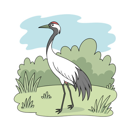 cute crane bird in the field vector illustration designのイラスト素材
