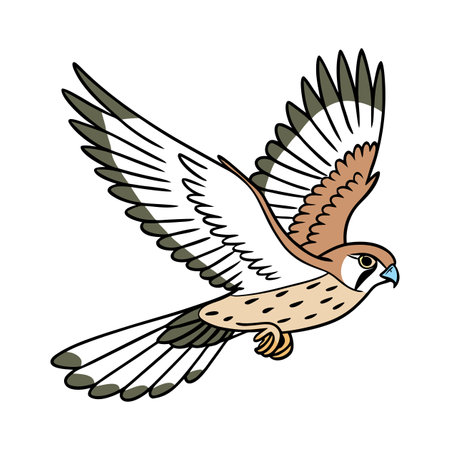 Falcon flying with open wings. Vector illustration of a bird.のイラスト素材