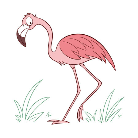 Flamingo on the grass. Vector illustration of a flamingo.のイラスト素材