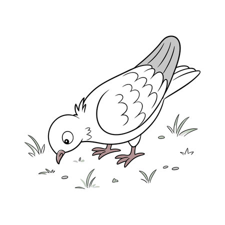 Pigeon on the ground. Vector illustration of a bird.のイラスト素材