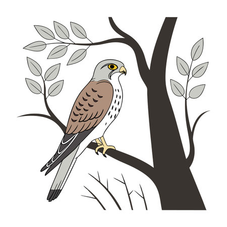 Kestrel sitting on a branch of a tree. Vector illustration.のイラスト素材