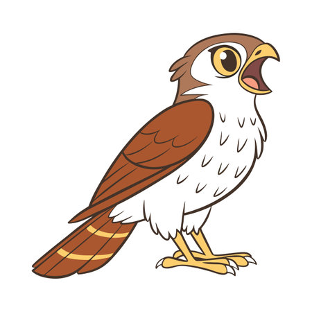 Illustration of a kestrel bird on a white background.のイラスト素材