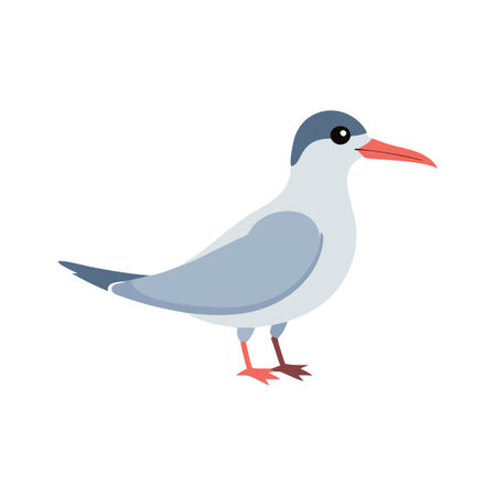 Stylish Arctic Tern Design for Nature Illustrationsのイラスト素材