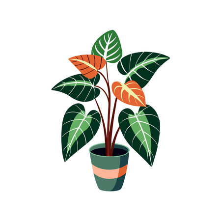 Gorgeous Alocasia Plant Illustrationのイラスト素材