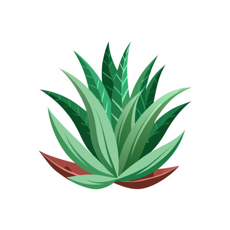 Stylish Aloe Saponaria Plant Designのイラスト素材