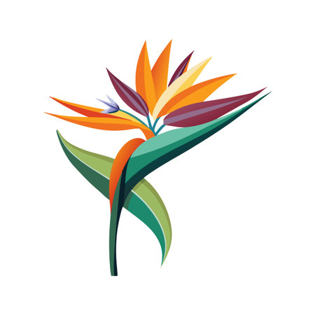 Charming Bird of Paradise in Full Bloomのイラスト素材