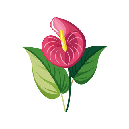 Elegant Anthurium Plant Artworkのイラスト素材