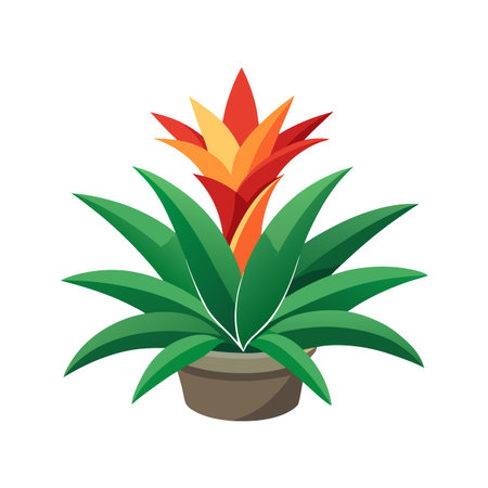 Charming Bromeliad Plant Designのイラスト素材