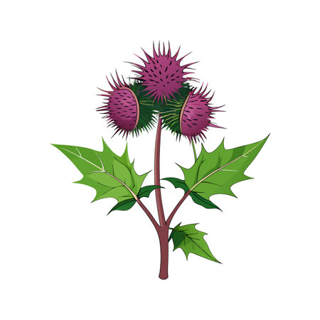 Charming Burdock Plant in Natureのイラスト素材