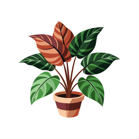 Elegant Calathea in Full Bloomのイラスト素材