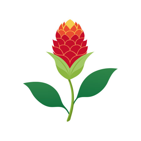 Charming Celosia Plant in Bloomのイラスト素材