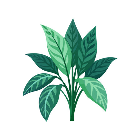 Stunning Chinese Evergreen with Lush Green Foliageのイラスト素材