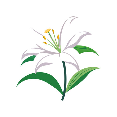 Charming Easter Lily for Colorful Gardensのイラスト素材