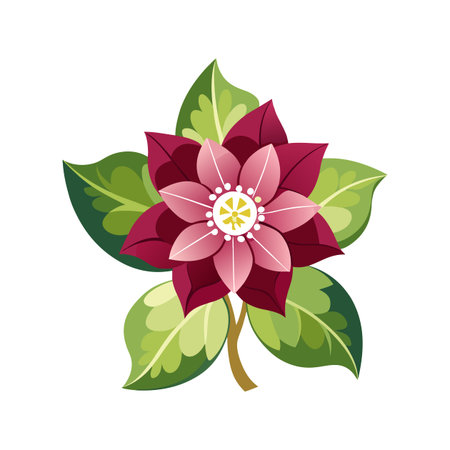 Lovely Hellebore Plant Artworkのイラスト素材