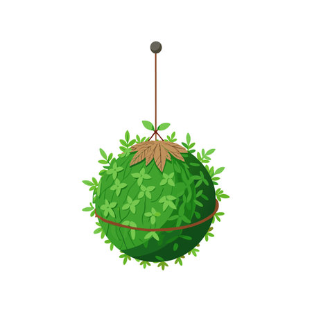Unique Kokedama Plant Artworkのイラスト素材