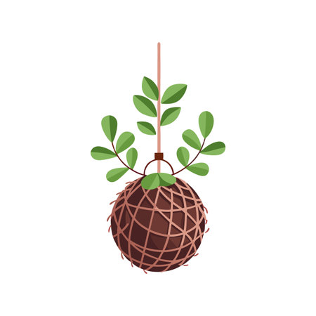 Charming Kokedama Plant Artworkのイラスト素材