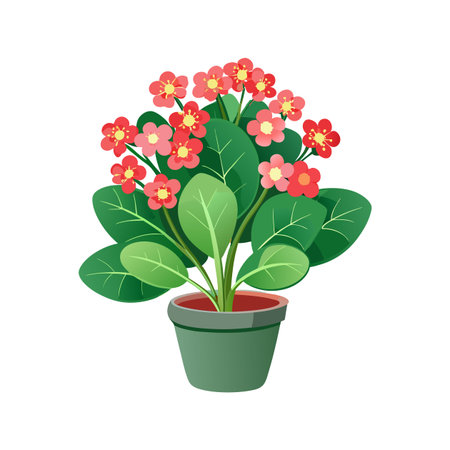 Charming Kalanchoe Plant Illustrationのイラスト素材
