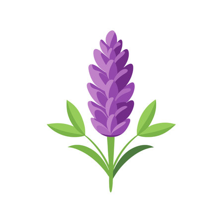 Lavender Flower Vintage Illustrationのイラスト素材