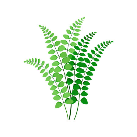 Stylish Maidenhair Fern Artworkのイラスト素材