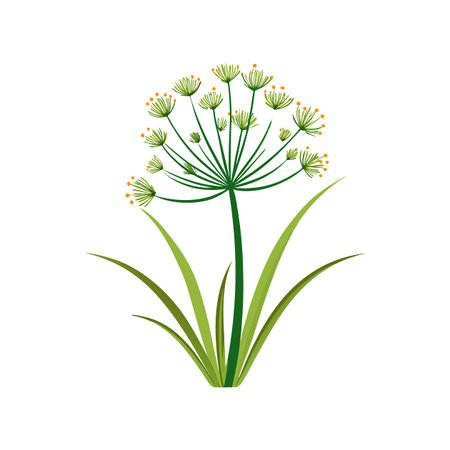 Stylish Papyrus Cyperus Designのイラスト素材