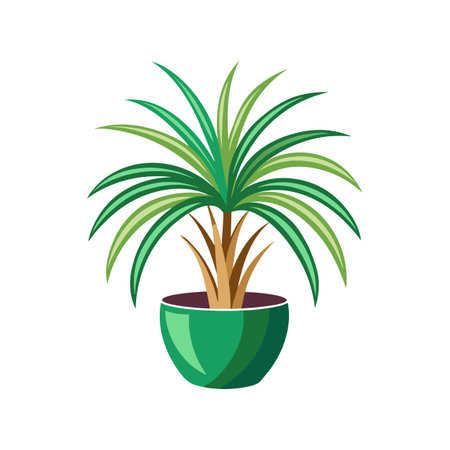 Stylish Ponytail Palm Leaf Designのイラスト素材