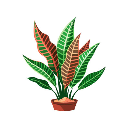 Vibrant Calathea Lancifolia Plant Graphicのイラスト素材