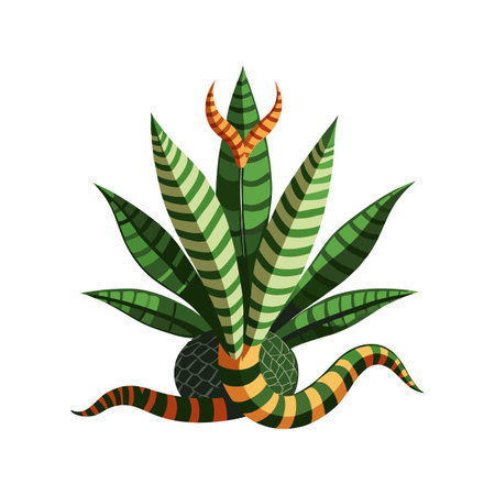 Charming Calathea Lancifolia Plant Artworkのイラスト素材