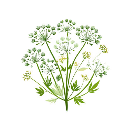 Stylish Queen Anne's Lace Plant Artwork