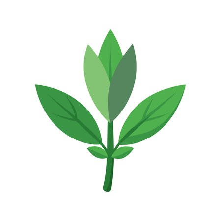 Stylish Sage Plant Illustrationのイラスト素材