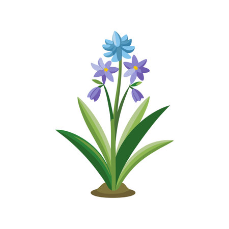 Beautiful Squill Flower for Unique Designsのイラスト素材