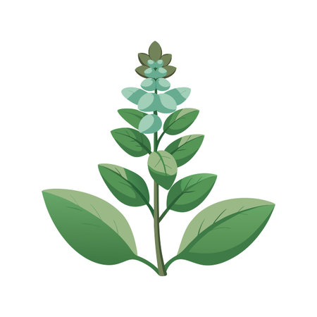 Stylish Lamb's Ear for Natural Aestheticsのイラスト素材